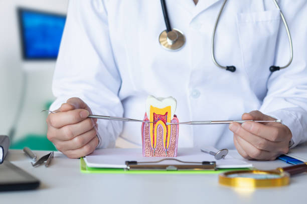 Best Emergency Treatment for Toothache in Moncks Corner, SC